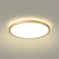 Brilagi - LED Koupelnové stropní svítidlo ULTRA SLIM LED/24W/230V pr. 42 cm zlatá IP54
