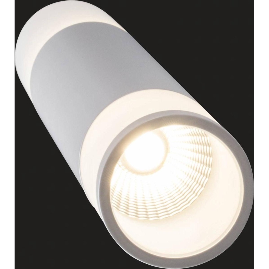 AEG - LED Stmívatelný lustr na lanku ABBY LED/10W/230V