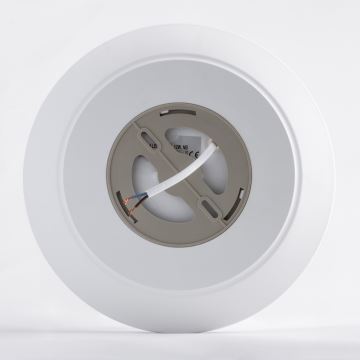 Brilagi - LED Koupelnové stropní svítidlo VESTAS LED/12W/230V 3000K IP54