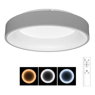 Brilagi - LED Stmívatelné stropní svítidlo FALCON LED/80W/230V 3000-6500K pr. 60 cm šedá + dálkové ovládání