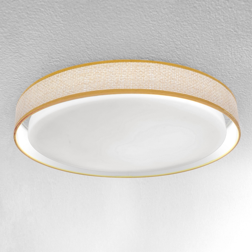 Brilagi - LED Stmívatelné stropní svítidlo KIANIA LED/48W/230V 3000-6500K pr. 43 cm + dálkové ovládání