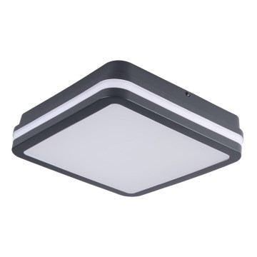 Brilagi - LED Venkovní svítidlo BENE LED/18W/230V 22x22 cm antracit IP54