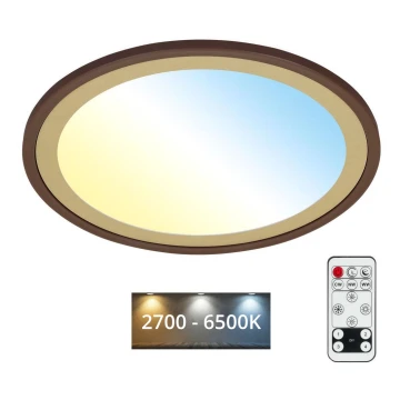 Brilo - LED Stmívatelné stropní svítidlo SLIM LED/22W/230V 2700-6500K + dálkové ovládání