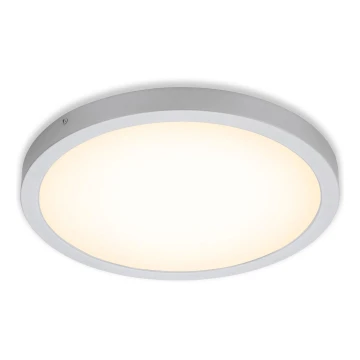 Briloner 7143-014 - LED Stropní svítidlo FIRE LED/24,5W/230V 3000K