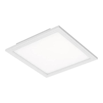 Briloner 7191-016 - LED Stropní svítidlo SIMPLE LED/12W/230V