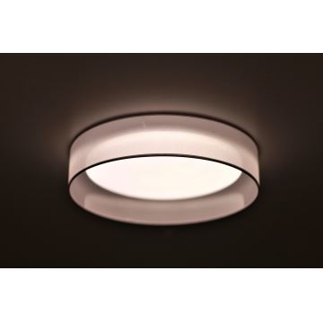 Duolla - LED Stropní svítidlo ROLLER LED/24W/230V světle šedá