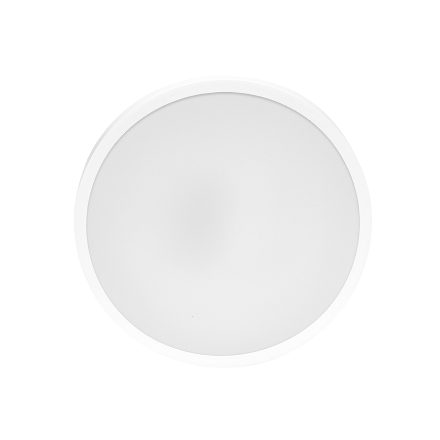LED Koupelnové stropní svítidlo LIRA LED/12W/230V 4000K pr. 25 cm IP44 bílá