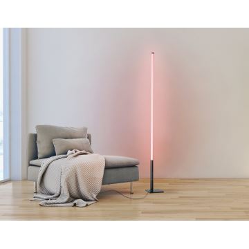 Eglo - LED RGB Stmívatelná stojací lampa LED/13,5W/230V 2700-6500K + dálkové ovládání