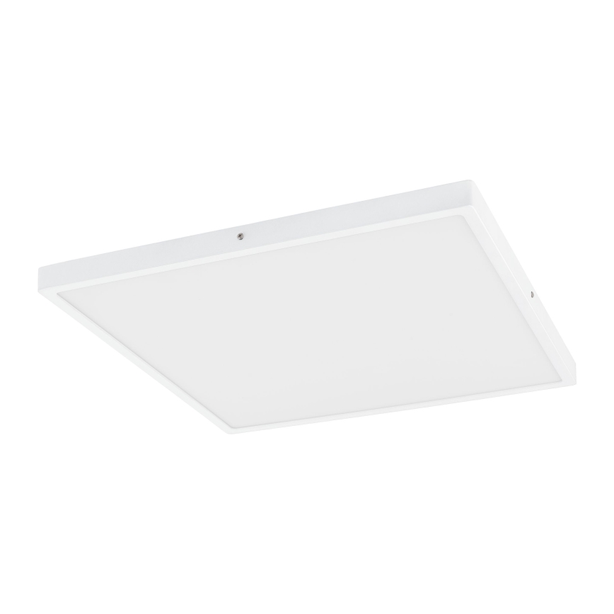 Eglo - LED Stmívatelné stropní svítidlo 1xLED/25W/230V