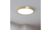 Eglo - LED Stropní svítidlo LED/20,5W/230V pr. 28,5 cm