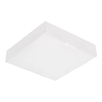 Emithor 63215 - LED Stropní svítidlo SURFACE 1xLED/10W/230V