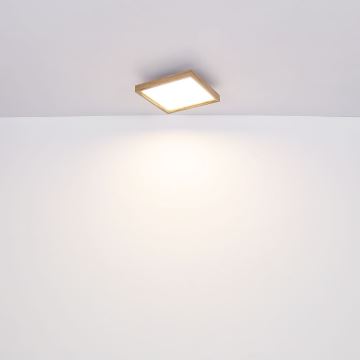 Globo - LED Stropní svítidlo LED/36W/230V 60cm 2700/4500/6500K