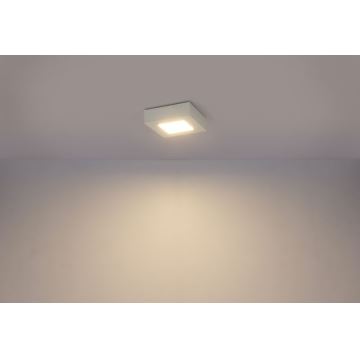 Globo - LED Stropní svítidlo SVENJA 1xLED/9W/230V
