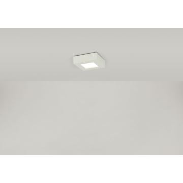 Globo - LED Stropní svítidlo SVENJA 1xLED/9W/230V