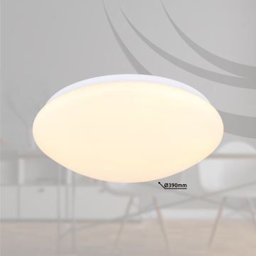 Globo - LED Stropní svítidlo LED/18W/230V