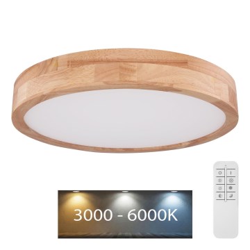 Globo - LED Stmívatelné stropní svítidlo LED/24W/230V 3000-6000K + dálkové ovládání