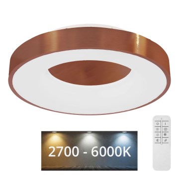 Globo - LED Stmívatelné stropní svítidlo LED/30W/230V 2700-6000K + dálkové ovládání