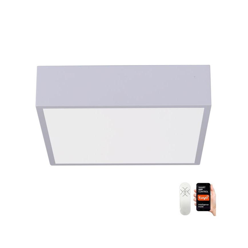 Immax NEO 07238L - LED Stmívatelné stropní svítidlo CANTO LED/22W/230V bílá Tuya + dálkové ovládání