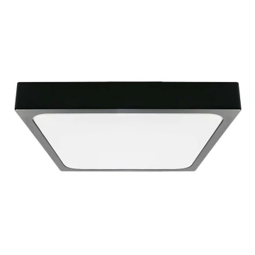 LED Koupelnové stropní svítidlo se senzorem LED/18W/230V 4000K IP44 černá