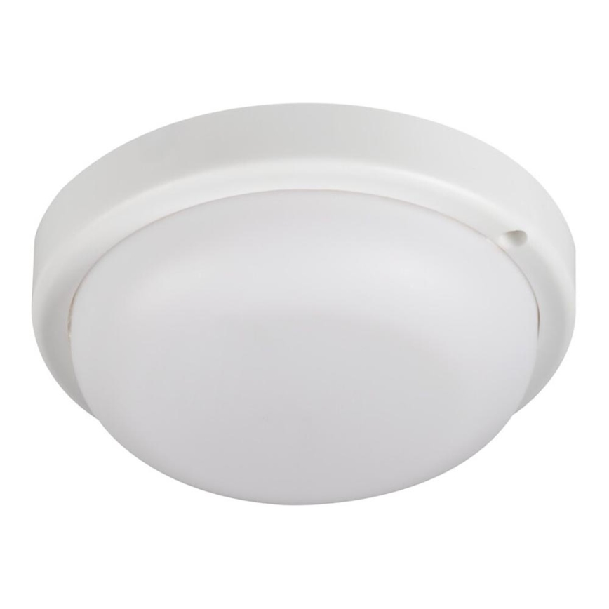 LED Koupelnové stropní svítidlo TOLU LED/9W/230V 4000K IP54 bílá