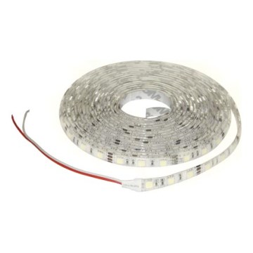 LED pásek 5m teplá bílá
