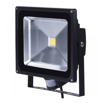 LED Reflektor HOBBY LED/50W/230V IP65