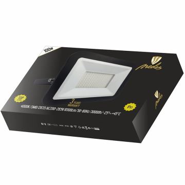Nedes LF2025 - LED Reflektor LED/100W/230V IP65