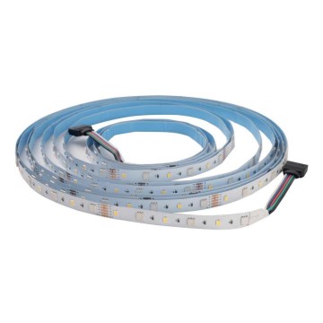 LED RGBW Stmívatelný pásek DAISY 5m denní bílá