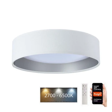 LED Stmívatelné stropní svítidlo SMART GALAXY LED/24W/230V pr. 45 cm 2700-6500K Wi-Fi Tuya bílá/stříbrná + dálkové ovládání