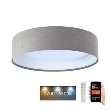 LED Stmívatelné stropní svítidlo SMART GALAXY LED/24W/230V pr. 45 cm 2700-6500K Wi-Fi Tuya šedá/bílá + dálkové ovládání