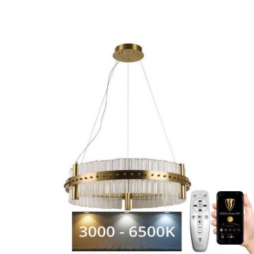 LED Stmívatelný křišťálový lustr na lanku LED/40W/230V 3000-6500K + dálkové ovládání