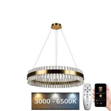 LED Stmívatelný křišťálový lustr na lanku LED/55W/230V 3000-6500K + dálkové ovládání