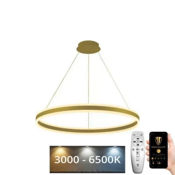 LED Stmívatelný lustr na lanku LED/110W/230V 3000-6500K + dálkové ovládání