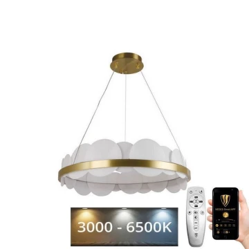 LED Stmívatelný lustr na lanku LED/40W/230V 3000-6500K zlatá + dálkové ovládání