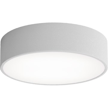 LED Stropní svítidlo CLEO LED/24W/230V 3000K pr. 30 cm šedá