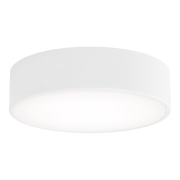 LED Stropní svítidlo CLEO LED/24W/230V 4000K pr. 30 cm bílá