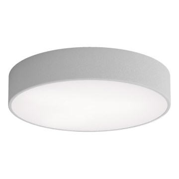 LED Stropní svítidlo CLEO LED/43W/230V 3000K pr. 40 cm šedá