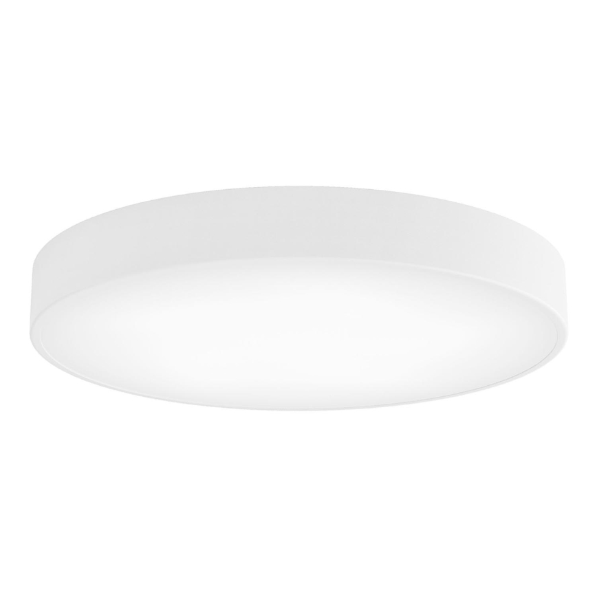 LED Stropní svítidlo CLEO LED/69W/230V 3000K pr. 60 cm bílá