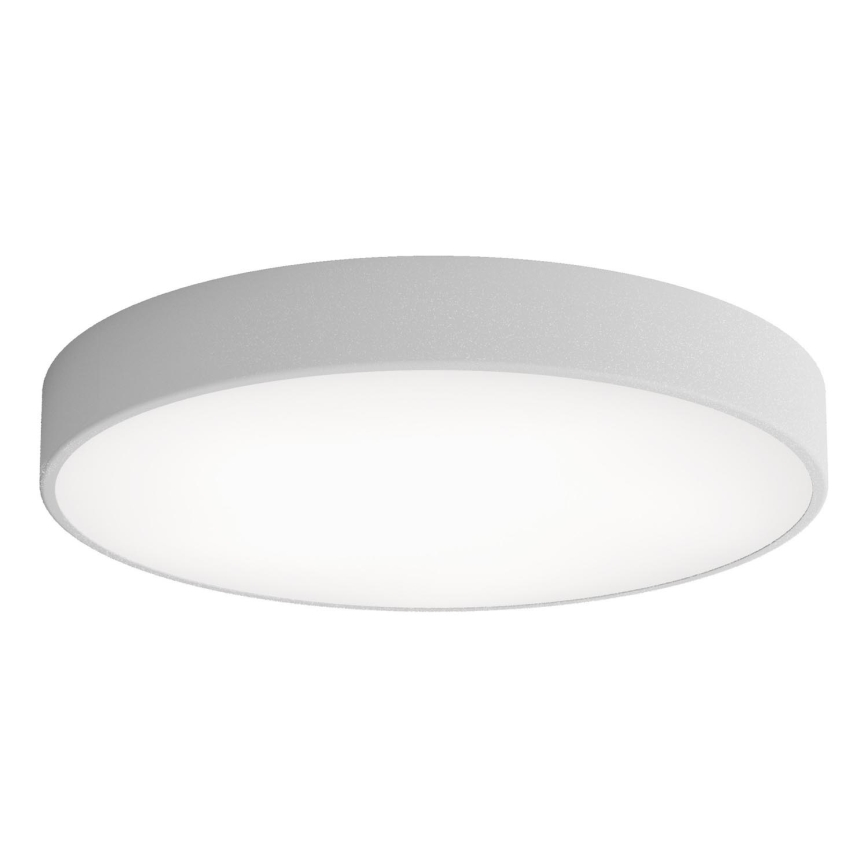 LED Stropní svítidlo CLEO LED/69W/230V 3000K pr. 60 cm šedá