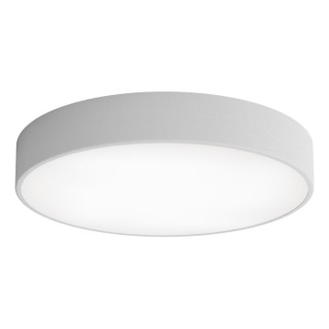 LED Stropní svítidlo CLEO LED/69W/230V 4000K pr. 50 cm šedá