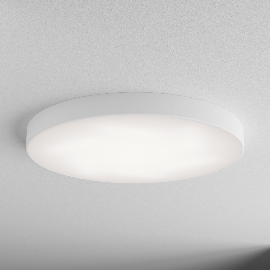 LED Stropní svítidlo CLEO LED/96W/230V 3000K pr. 80 cm bílá