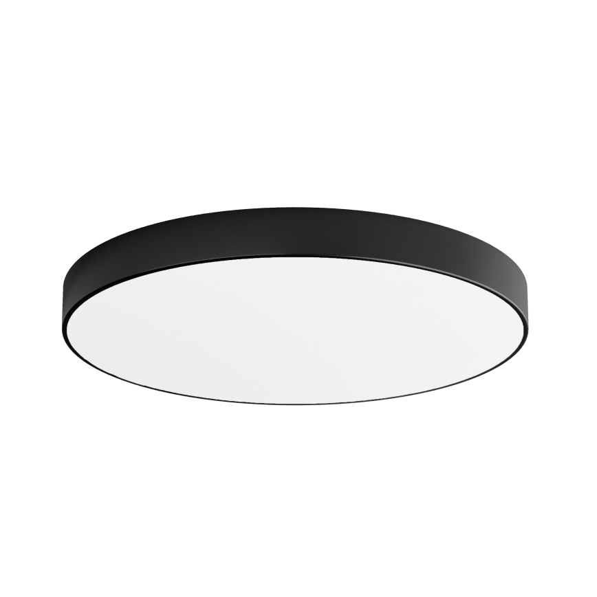 LED Stropní svítidlo CLEO LED/96W/230V 3000K pr. 80 cm černá