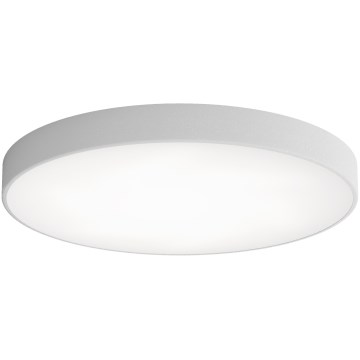 LED Stropní svítidlo CLEO LED/96W/230V 3000K pr. 80 cm šedá