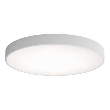 LED Stropní svítidlo CLEO LED/96W/230V 4000K pr. 80 cm šedá