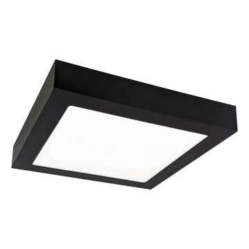 LED Stropní svítidlo FENIX LED/12W/230V 2800K 17 cm