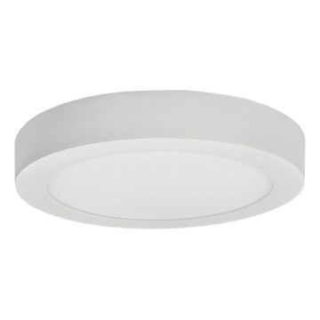 LED Stropní svítidlo FENIX LED/12W/230V 2800K pr. 17 cm