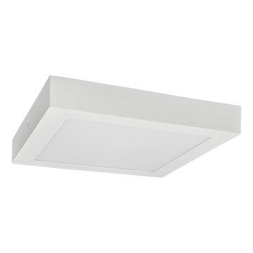 LED Stropní svítidlo FENIX LED/12W/230V 3800K 17 cm