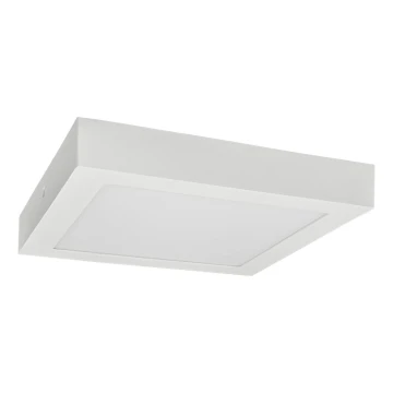 LED Stropní svítidlo FENIX LED/18W/230V 3800K 22,5 cm