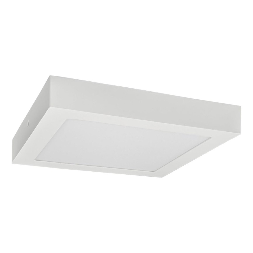 LED Stropní svítidlo FENIX LED/24W/230V 3800K 29,8 cm