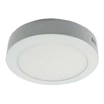 LED Stropní svítidlo LED/12W/230V 3000K